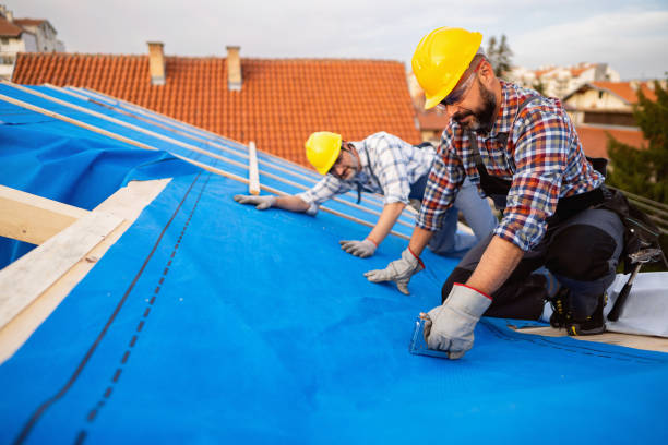 Best Roof Replacement Cost  in Sandoval, IL